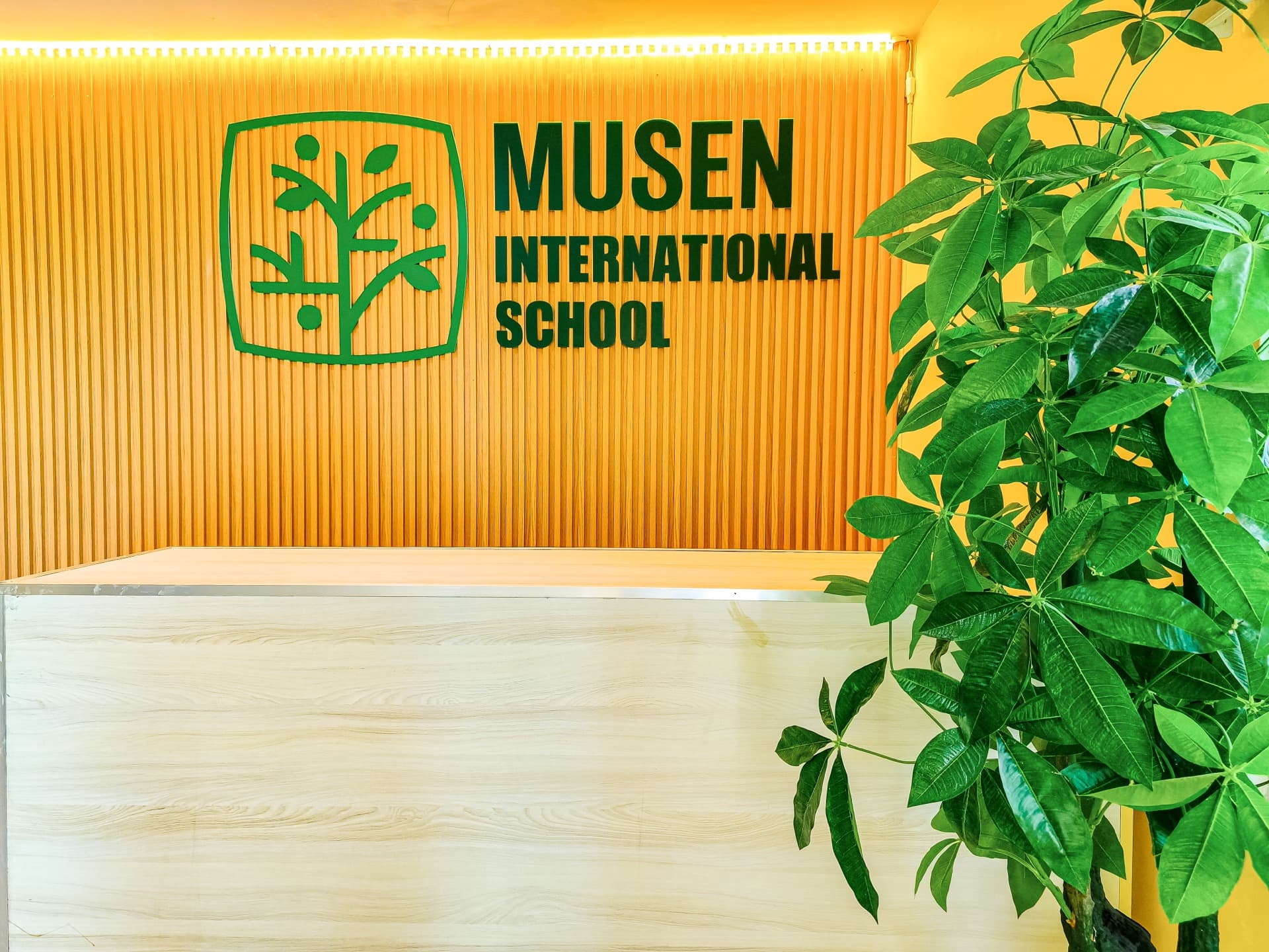 Musen 图片 2